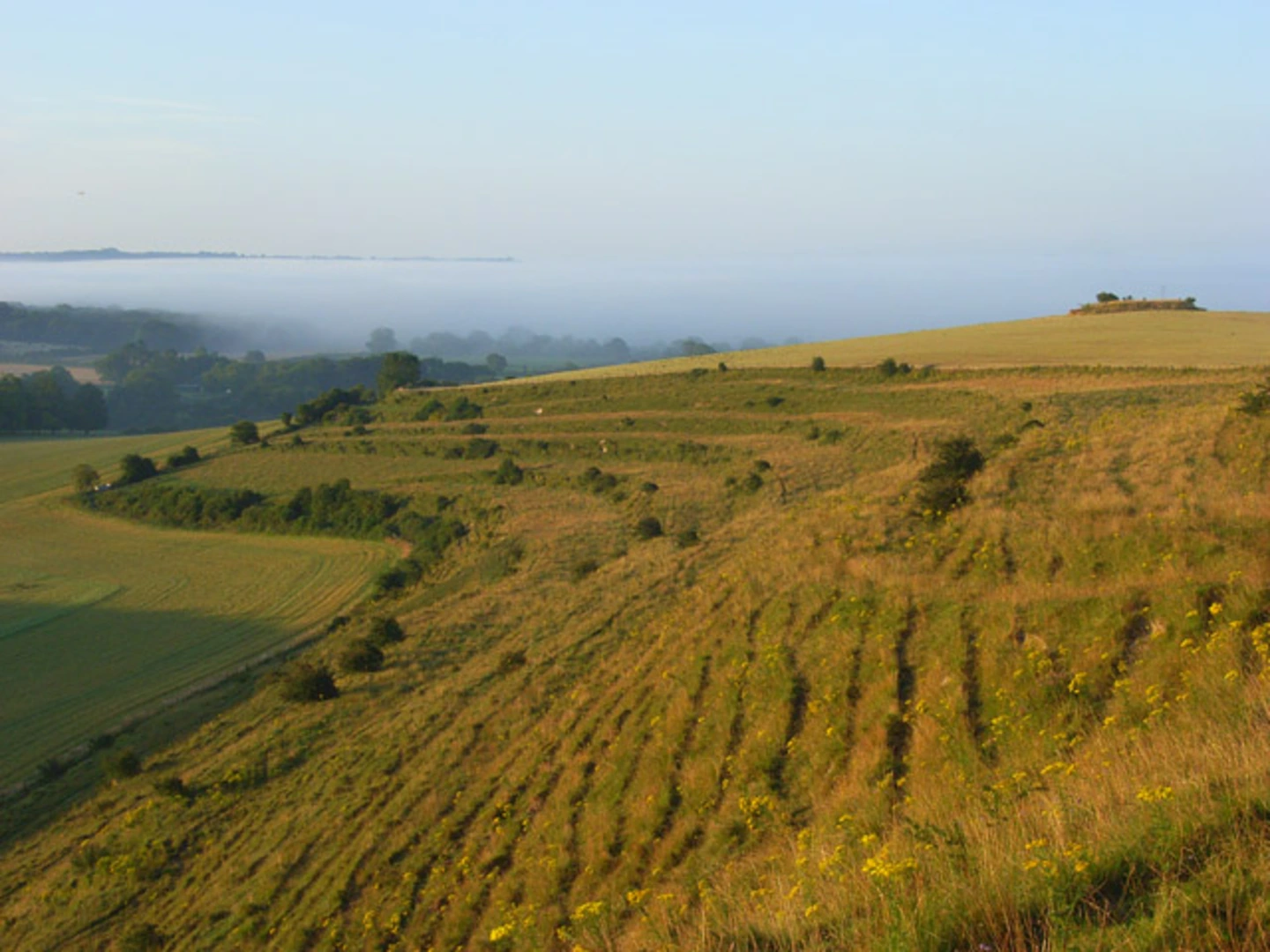 An image depicting the trail Aqua Parc Loop - Center Parcs Longleat Forest and its surrounding area.