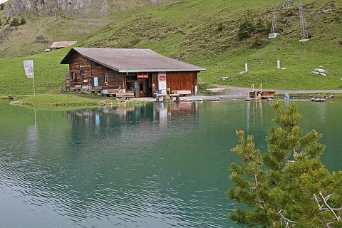 An image depicting the trail Tickle Path and its surrounding area.