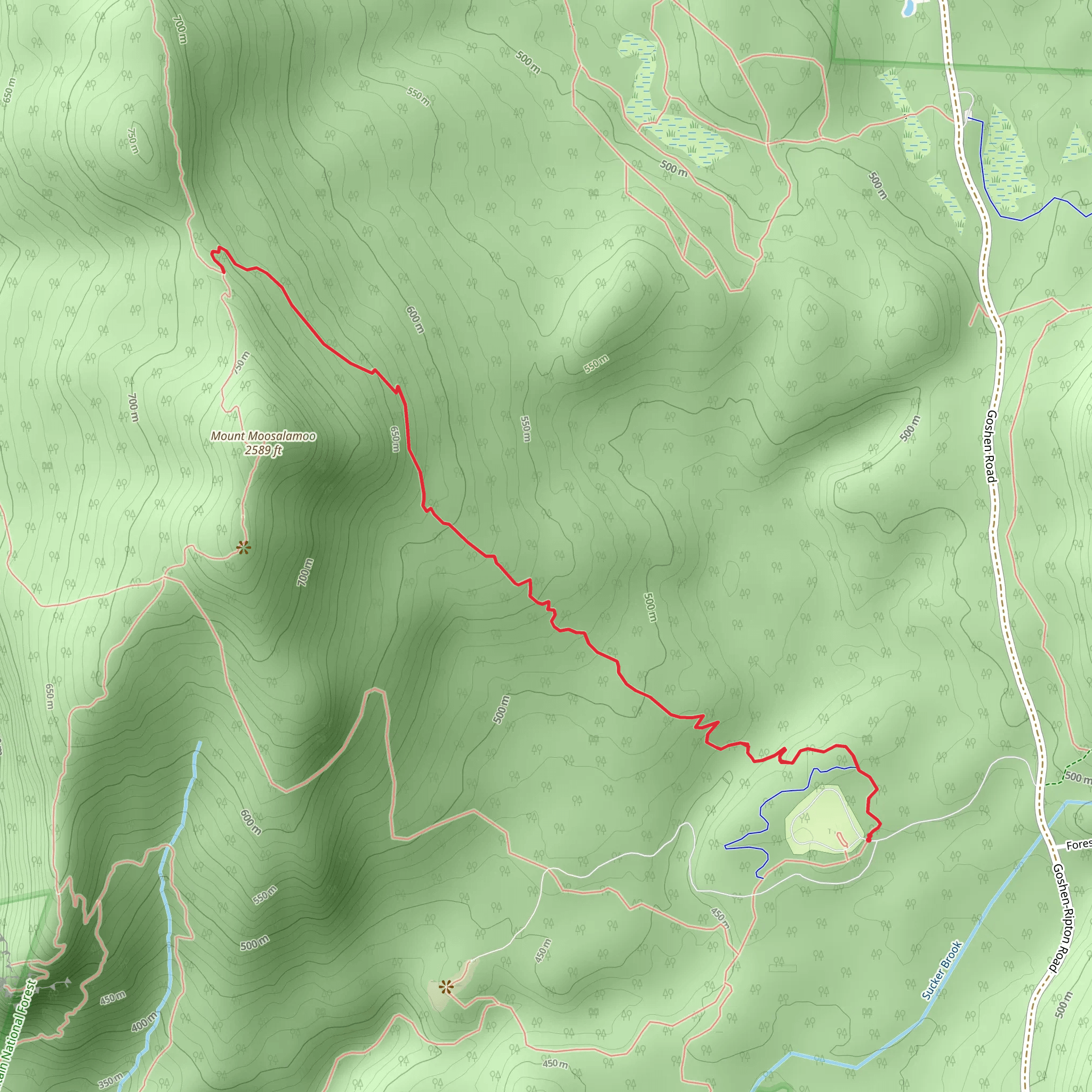 Mount Moosalamoo Trail mobile static map