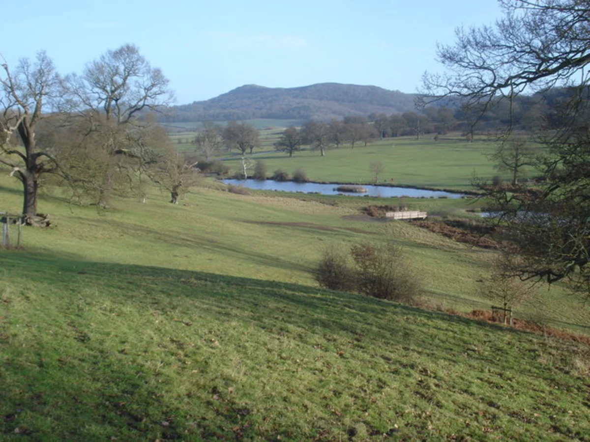 Dog Hill, Birchen Wood and Coneygree Wood Loop