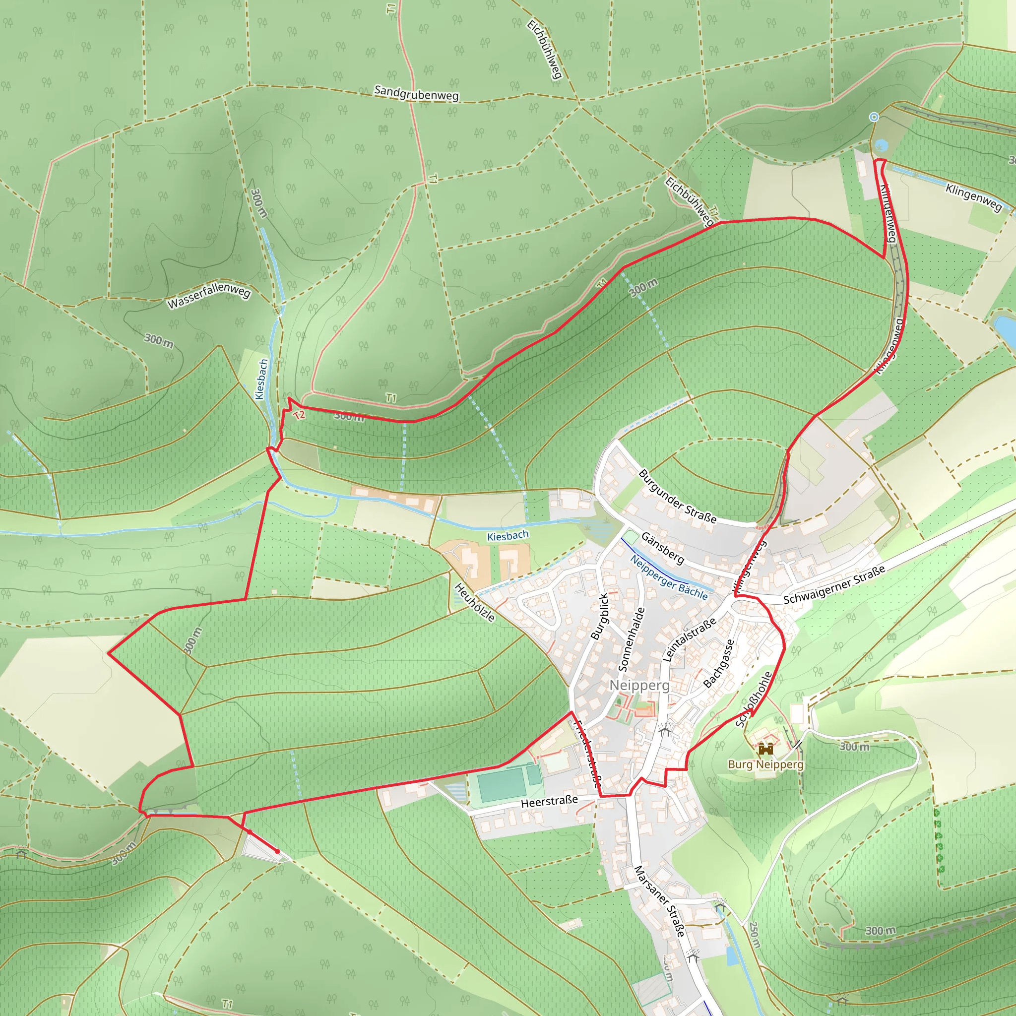 Burg Neipperg Loop mobile static map
