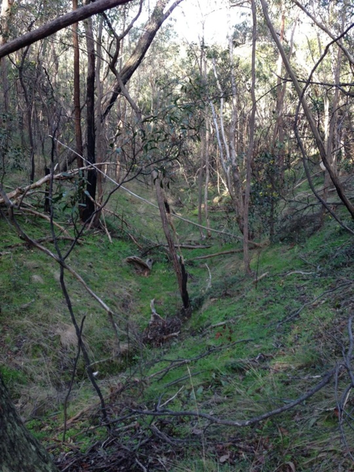Goodmans Weir Circuit Trail