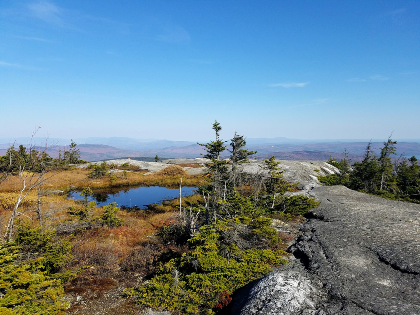 An image depicting the trail Firescrew and Mount Cardigan Loop Trail and its surrounding area.