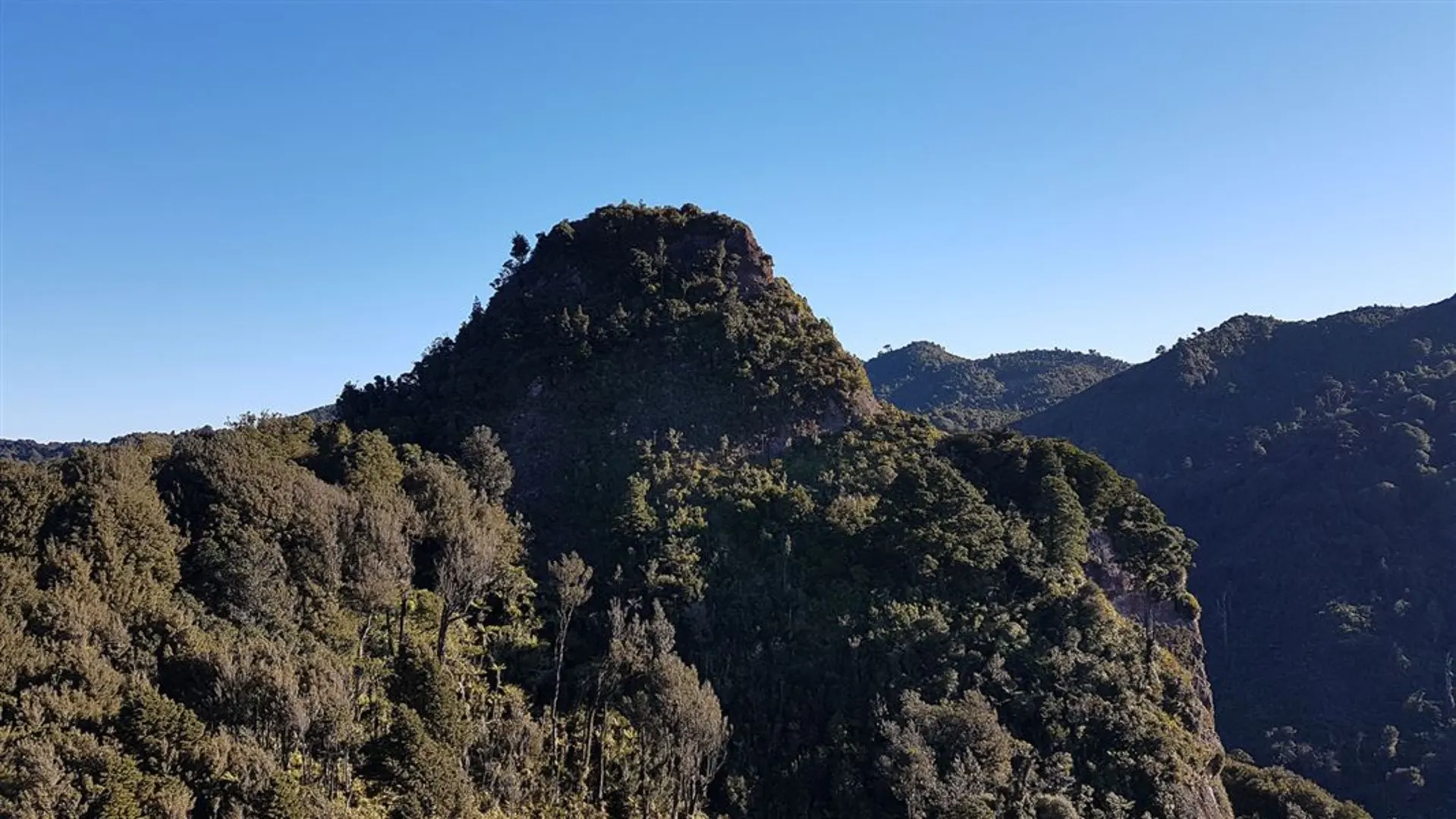 An image depicting the trail Sentinel Rock Lookout Track and its surrounding area.