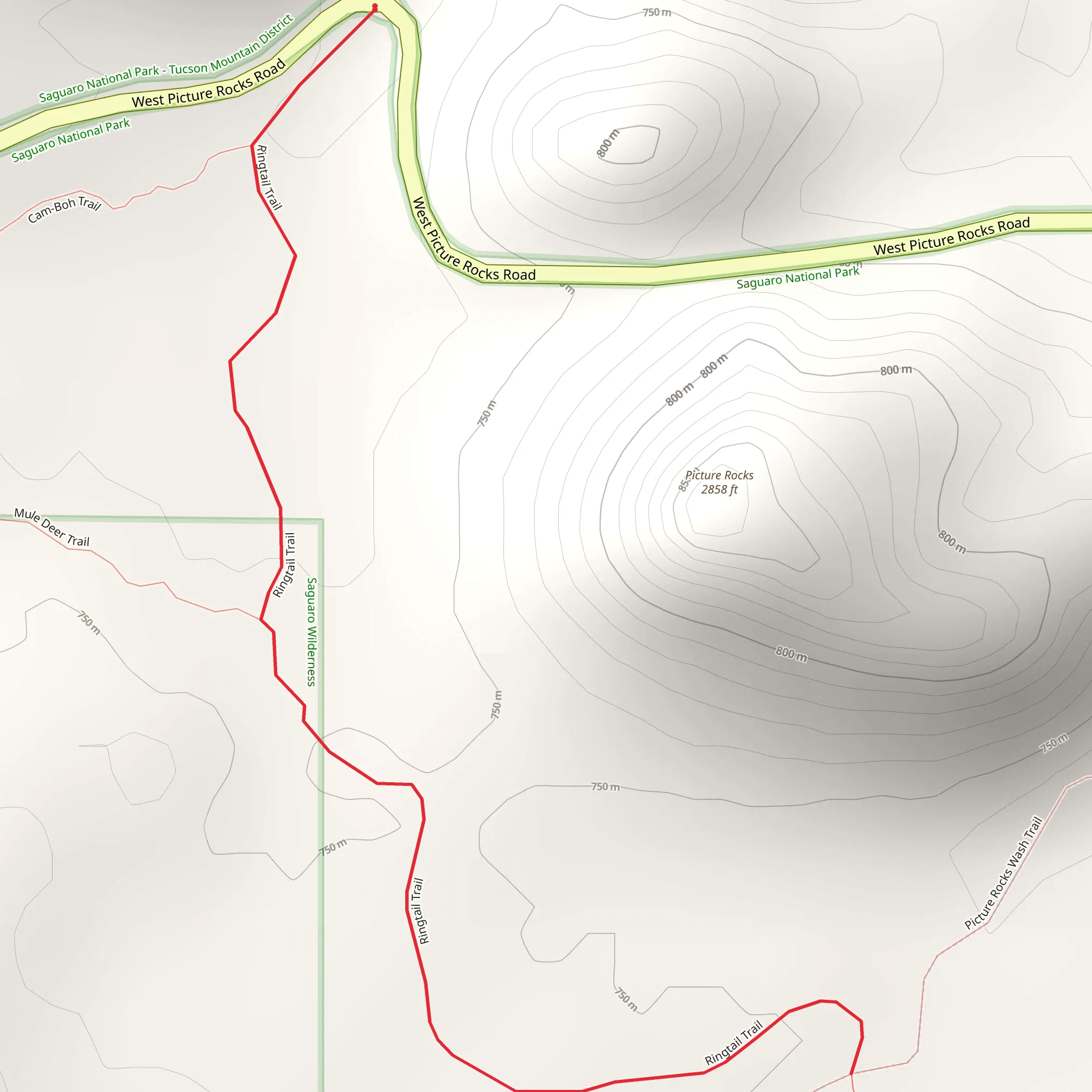 Ringtail Trail via Cam - Boh Trail mobile static map