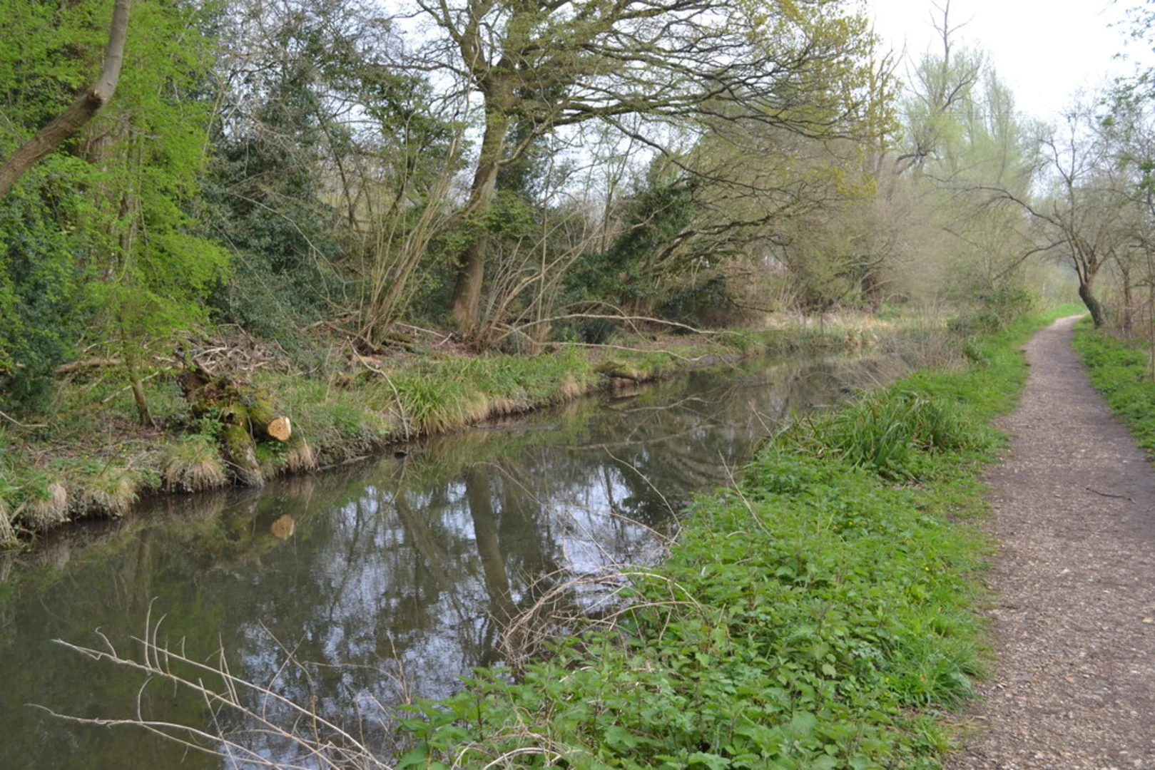 An image depicting the trail Fishlake Meadows Nature Reserve and Squabb Wood Loop and its surrounding area.