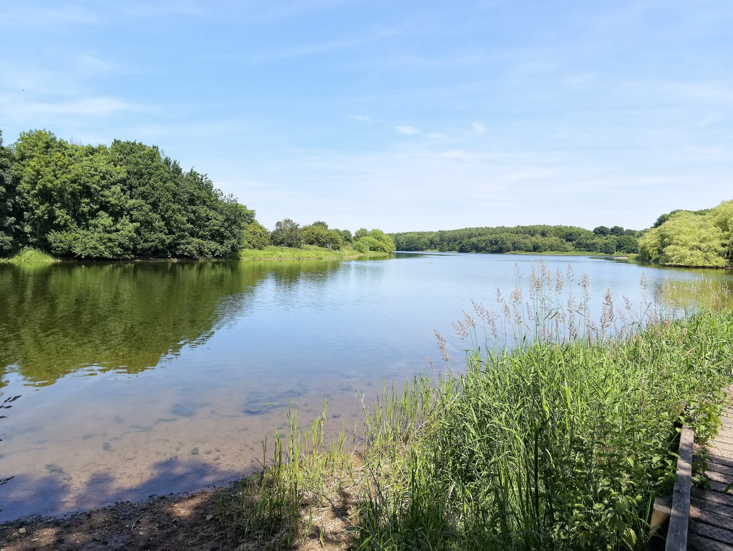 An image depicting the trail Ivanhoe Way and its surrounding area.