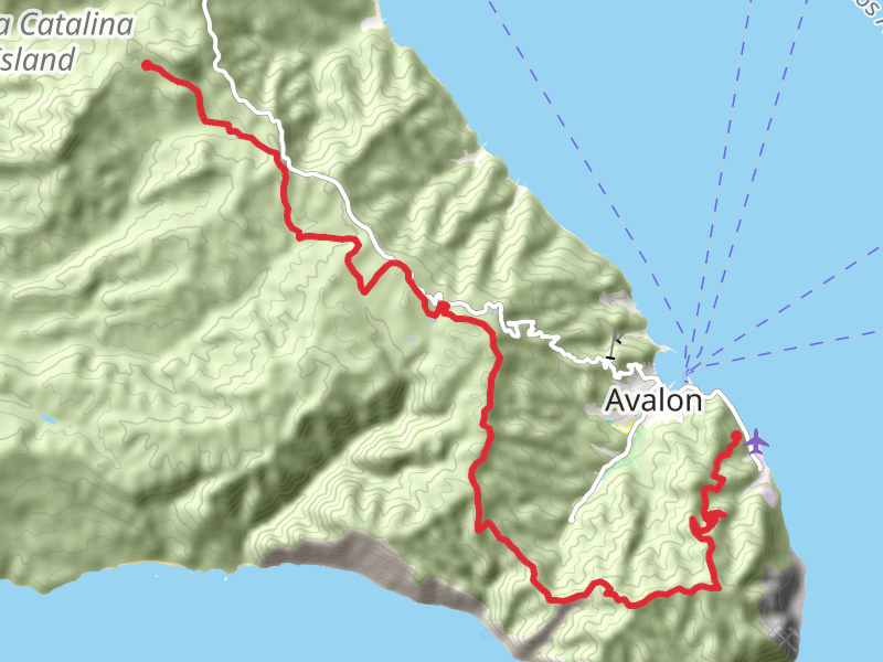 Pebbly Beach to Black Jack Campground via Trans Catalina Trail