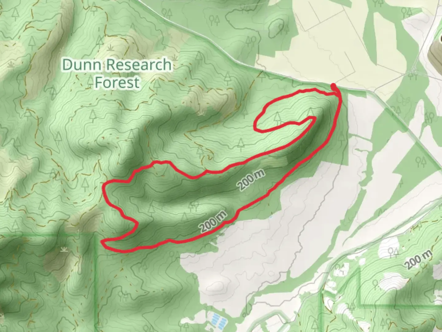 An image depicting the trail Old Growth Forest Loop and its surrounding area.