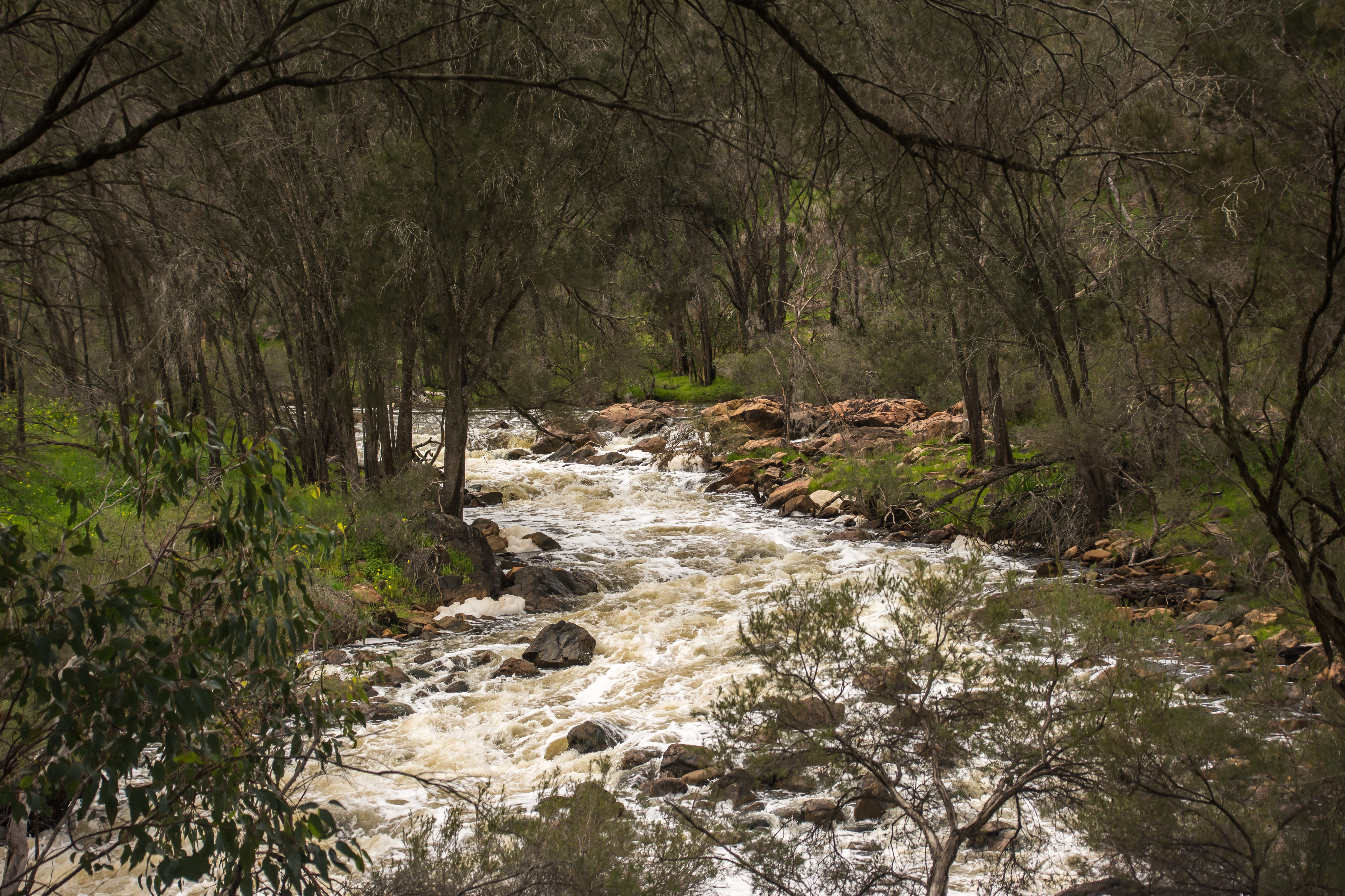 An image depicting the trail Walyunga National Park and its surrounding area.