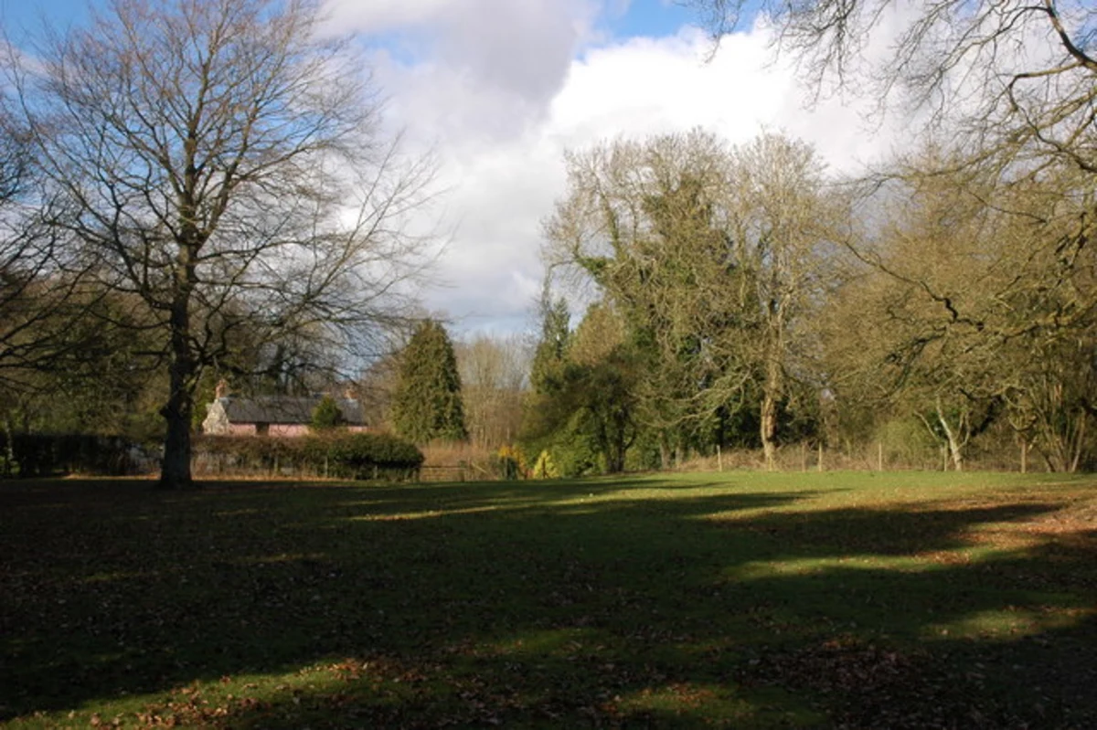 Highmeadow Woods and Mailscot Wood Loop