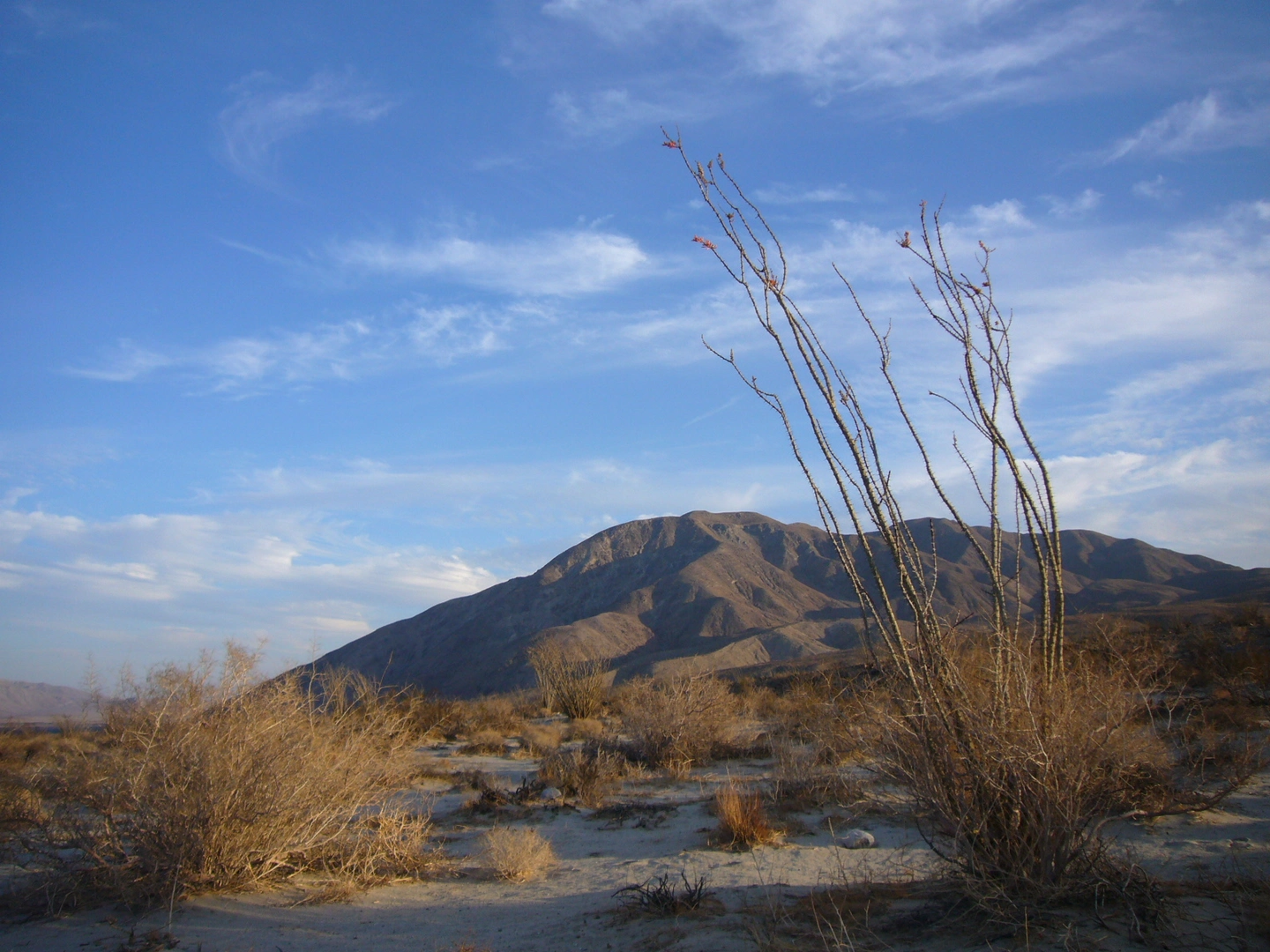 An image depicting the trail Coyote Mountain and its surrounding area.