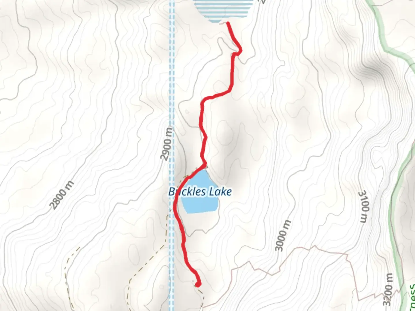 An image depicting the trail Buckles and Harris Lake Trail and its surrounding area.