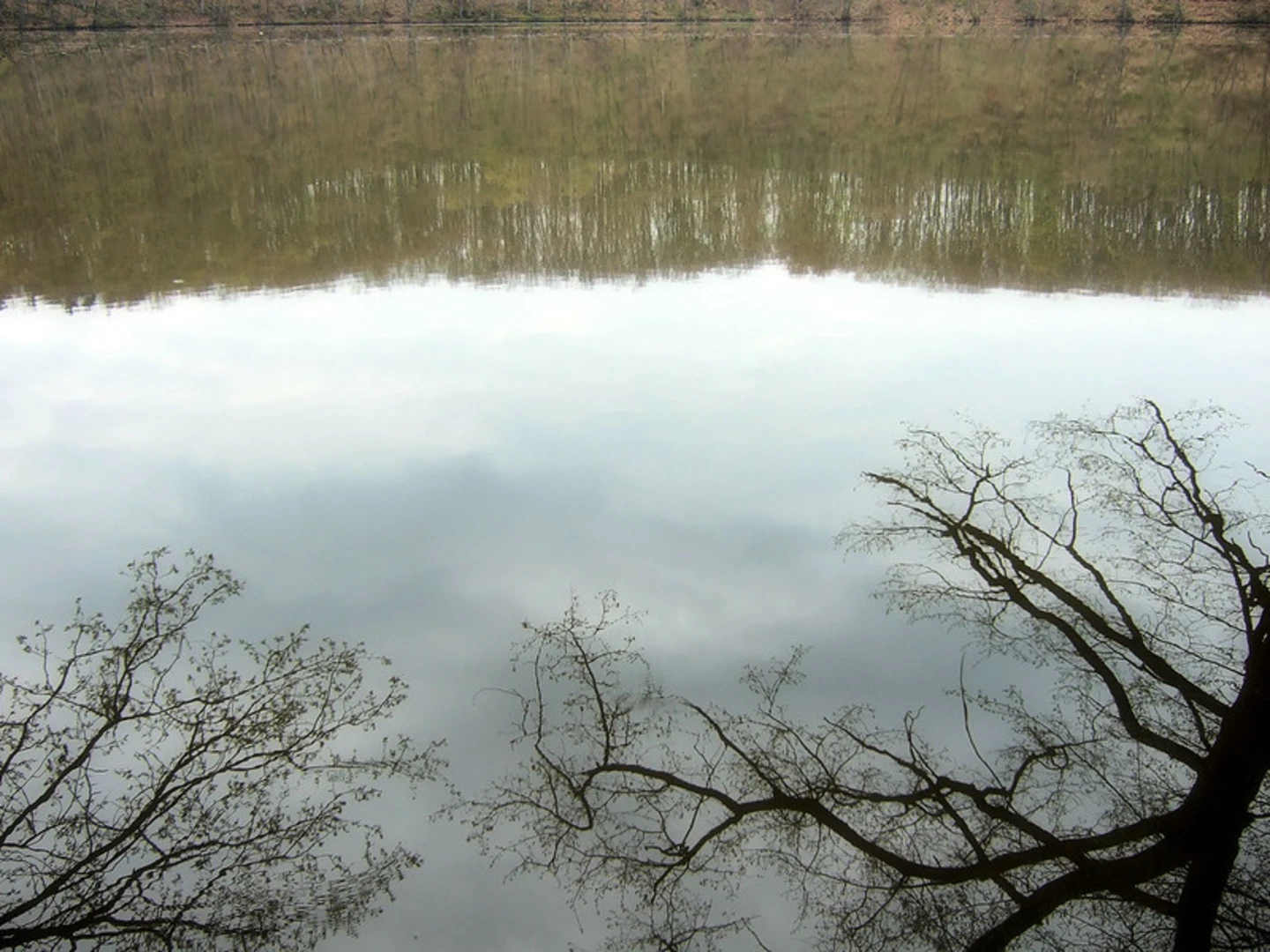 An image depicting the trail Hochrhöner and its surrounding area.