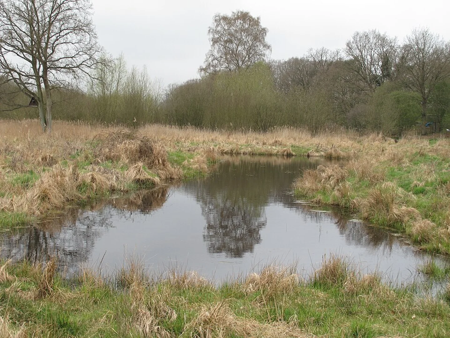 An image depicting the trail Redgrave and Lopham Fen Loop and its surrounding area.