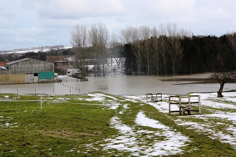 An image depicting the trail Stank Houses Loop and its surrounding area.