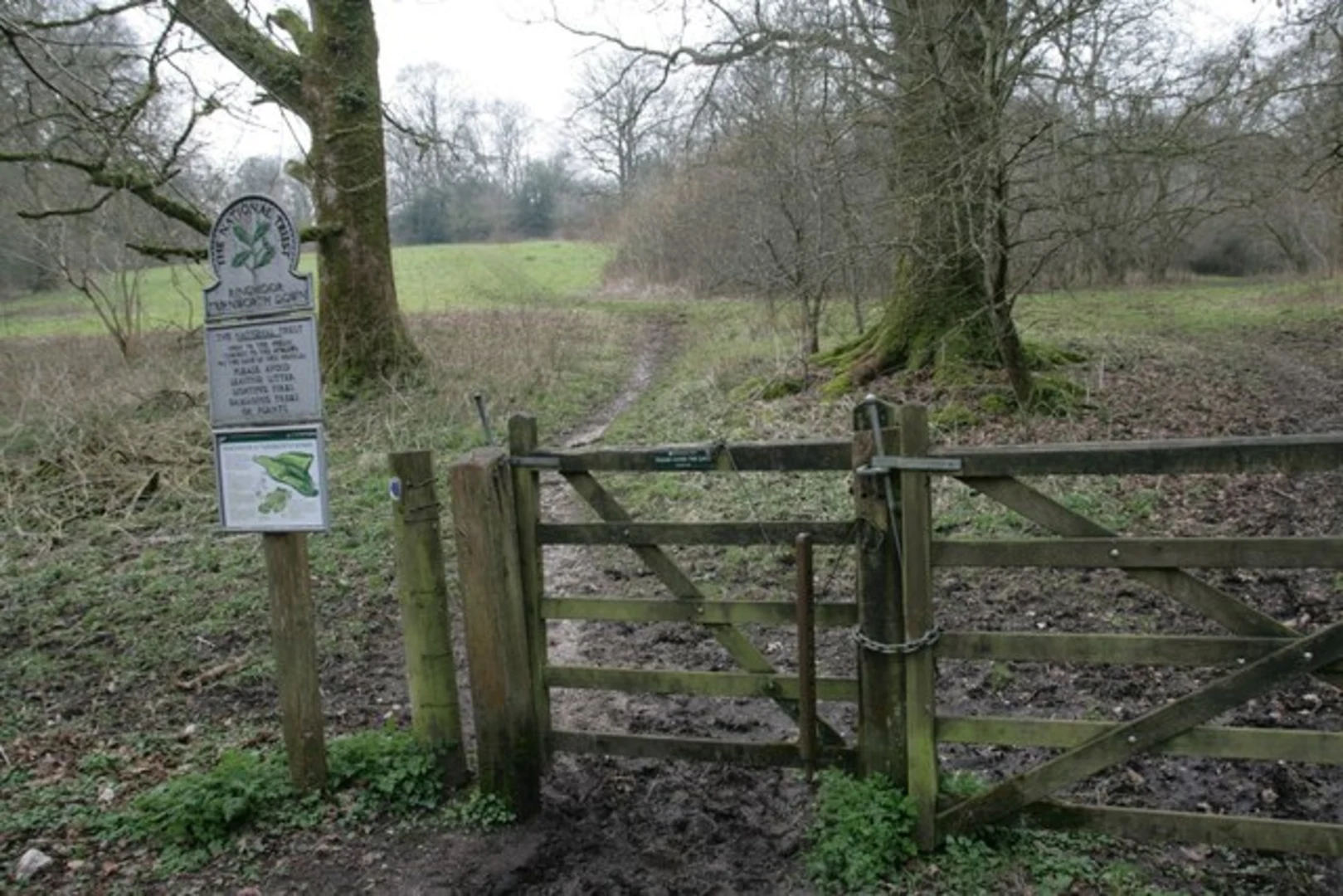 An image depicting the trail Hole Plantation via Wessex Ridgeway and its surrounding area.