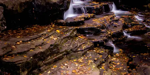 An image depicting the trail Glenbarrow - Eco Walk and its surrounding area.