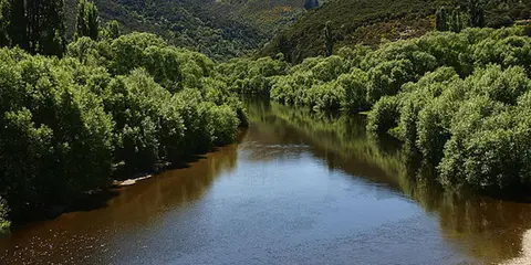 An image depicting the trail Outram Glen to Lee Stream Walk and its surrounding area.