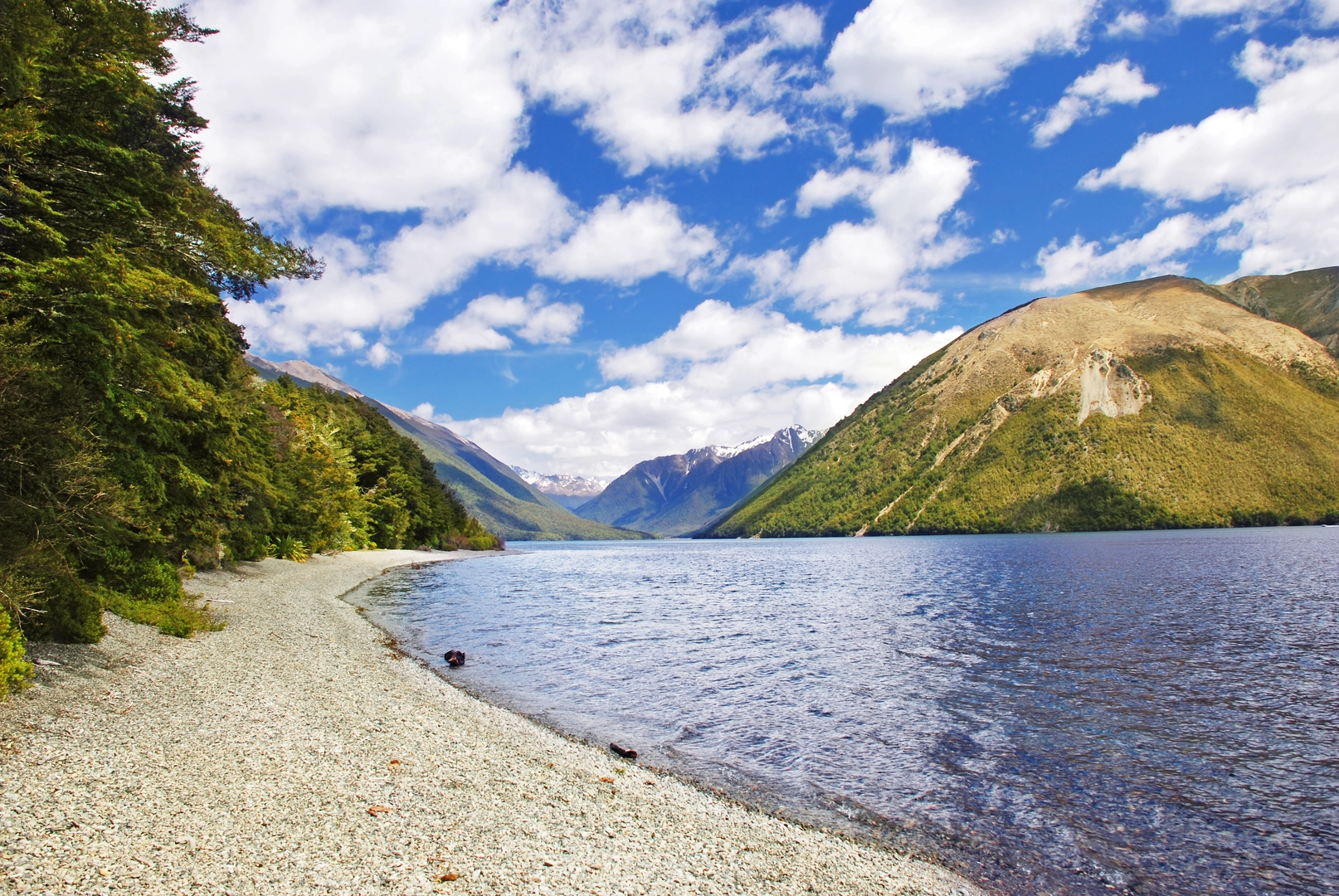 An image depicting the trail Whiskey Falls via Lakeside Track and its surrounding area.