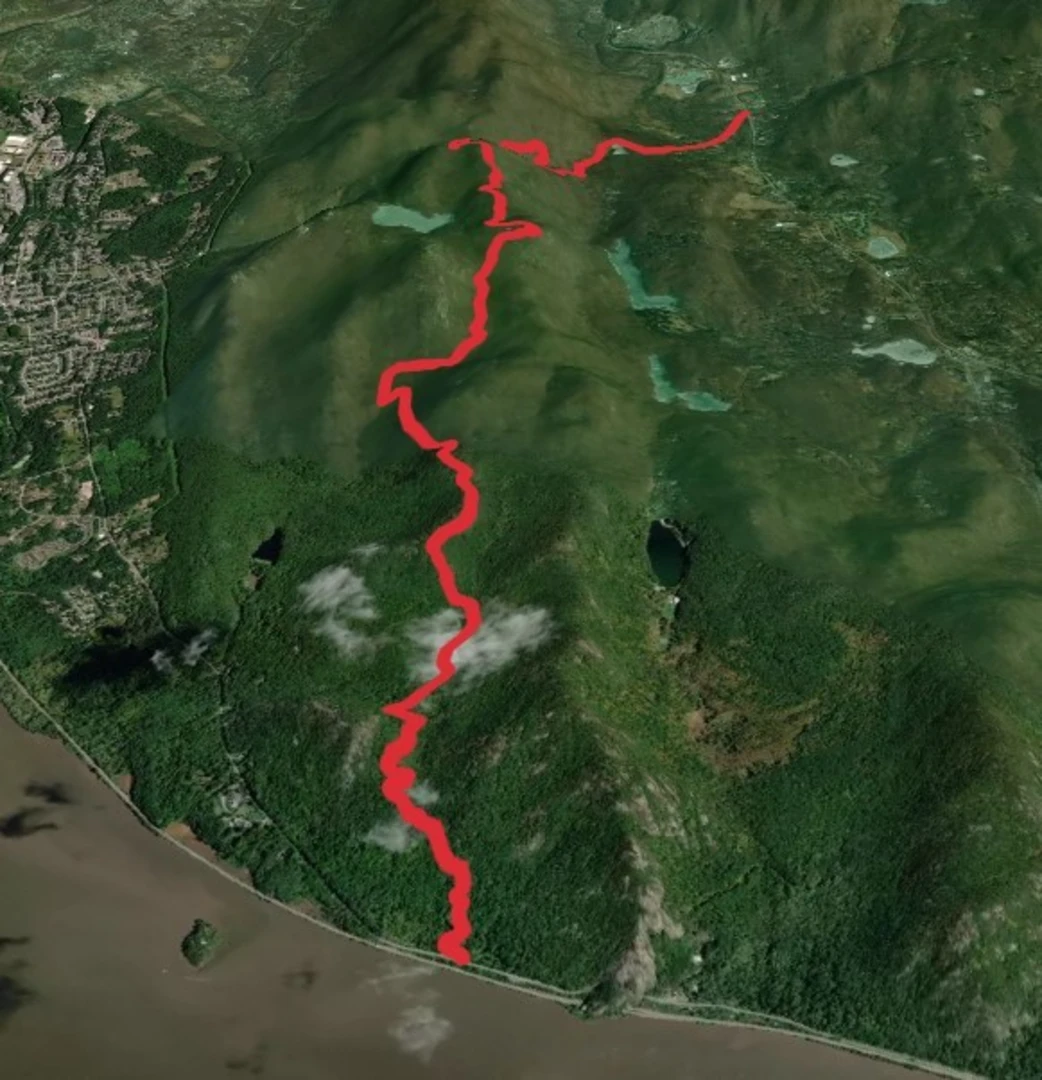 An image depicting the trail Wilkinson Memorial Trail - Yellow and its surrounding area.