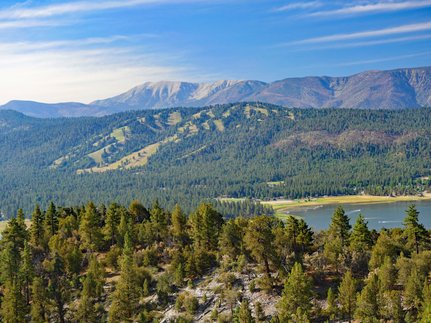 An image depicting the trail Momyer Creek to San Bernardino East Peak Trail and its surrounding area.