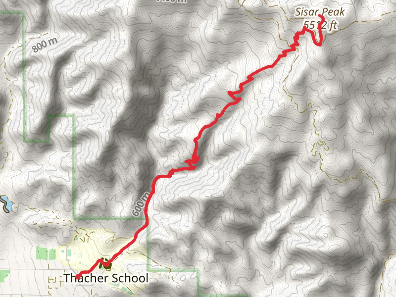 Sisar Peak via Horn Canyon Trail