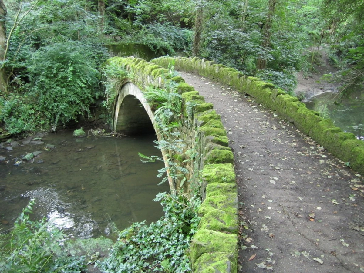 Armstrong Park and Jesmond Dene via Red Walk