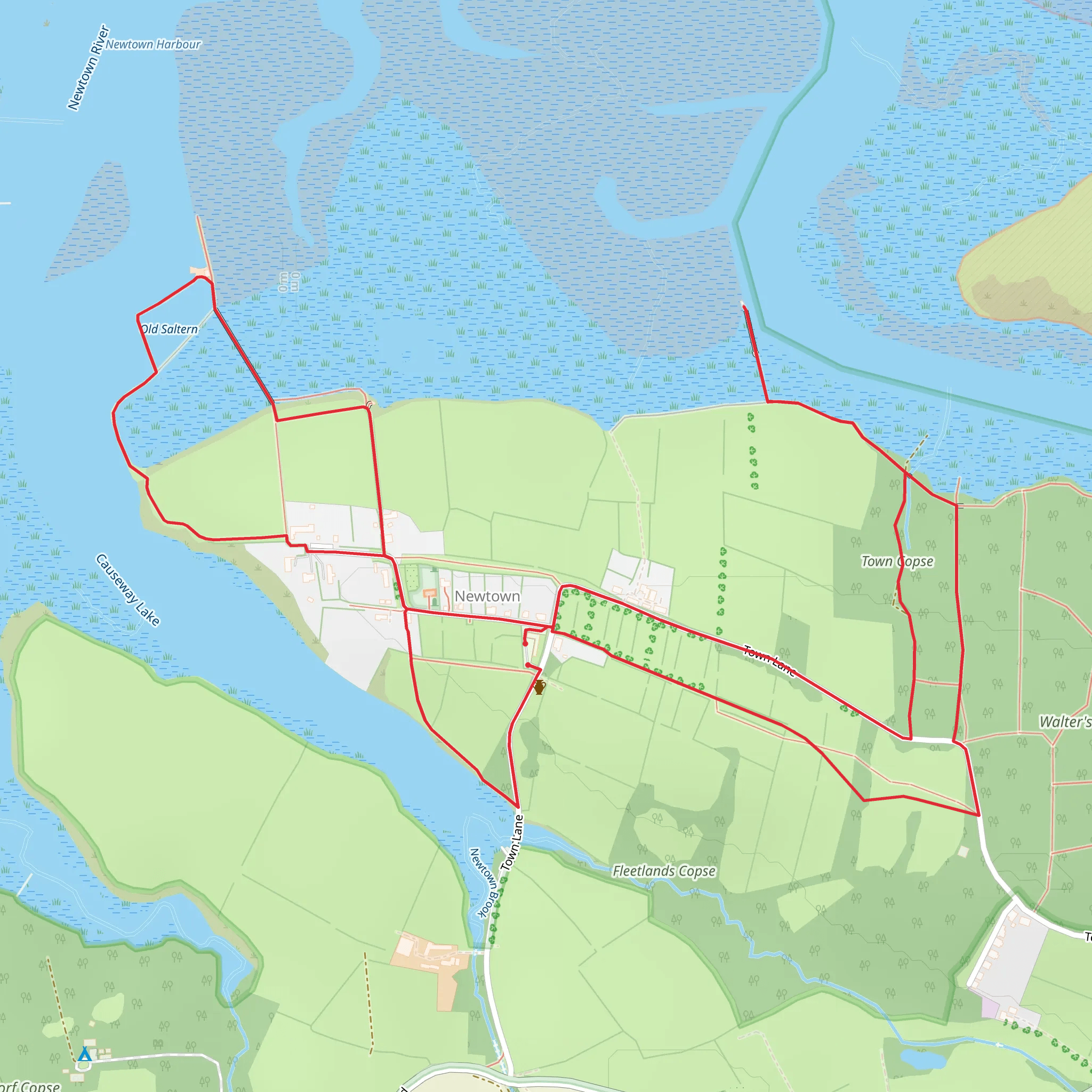 Town Copse and Old Saltern mobile static map