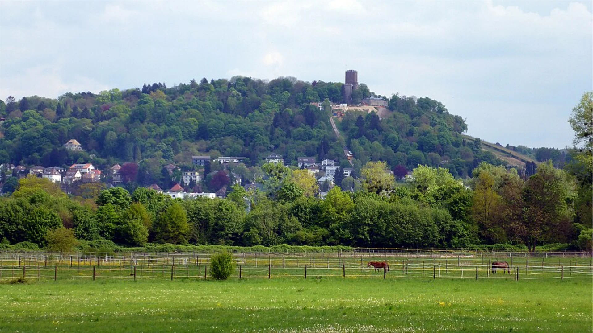An image depicting the trail Siebenstein Loop and its surrounding area.