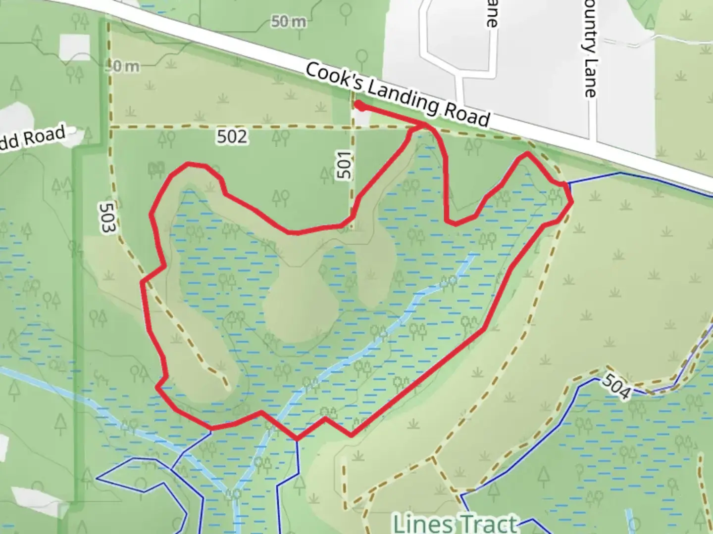An image depicting the trail Long Leaf and Talquin Loop and its surrounding area.