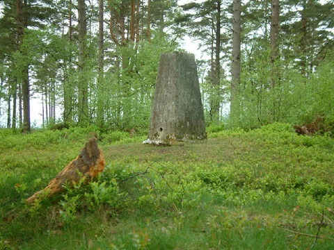 An image depicting the trail Black Down Loop and its surrounding area.