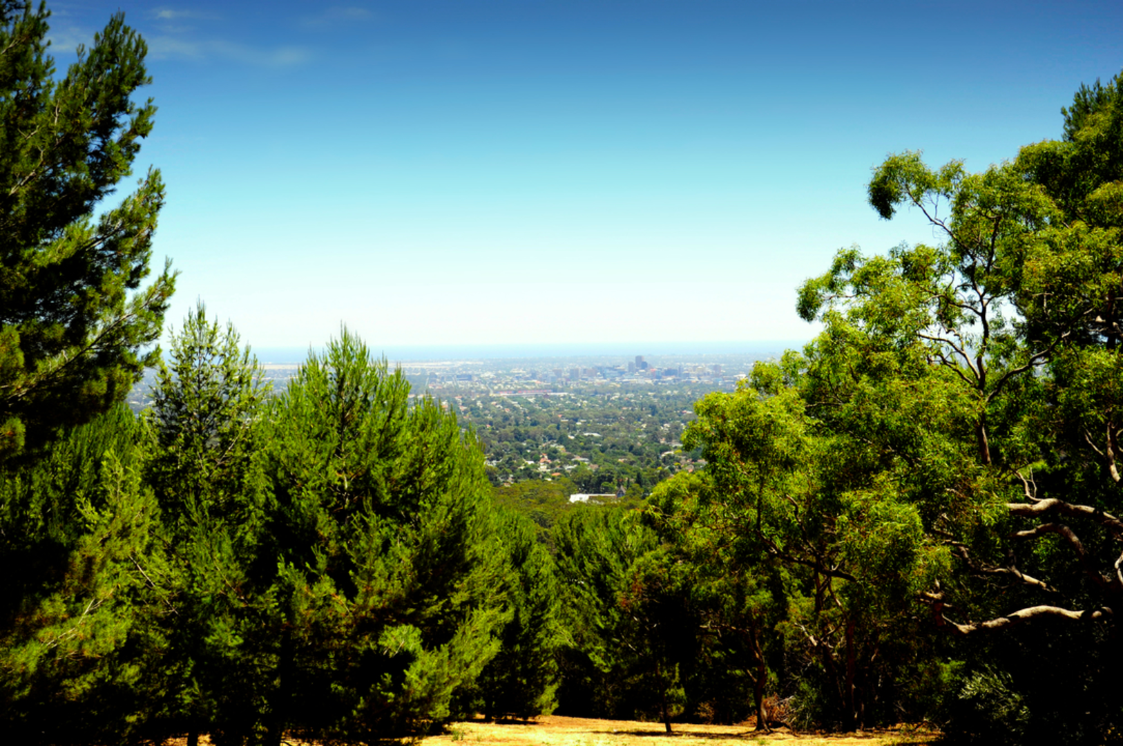 An image depicting the trail Horsnell Gully and Giles Conservation Park Hike and its surrounding area.