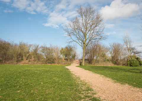 Toolenburgerplad Loop