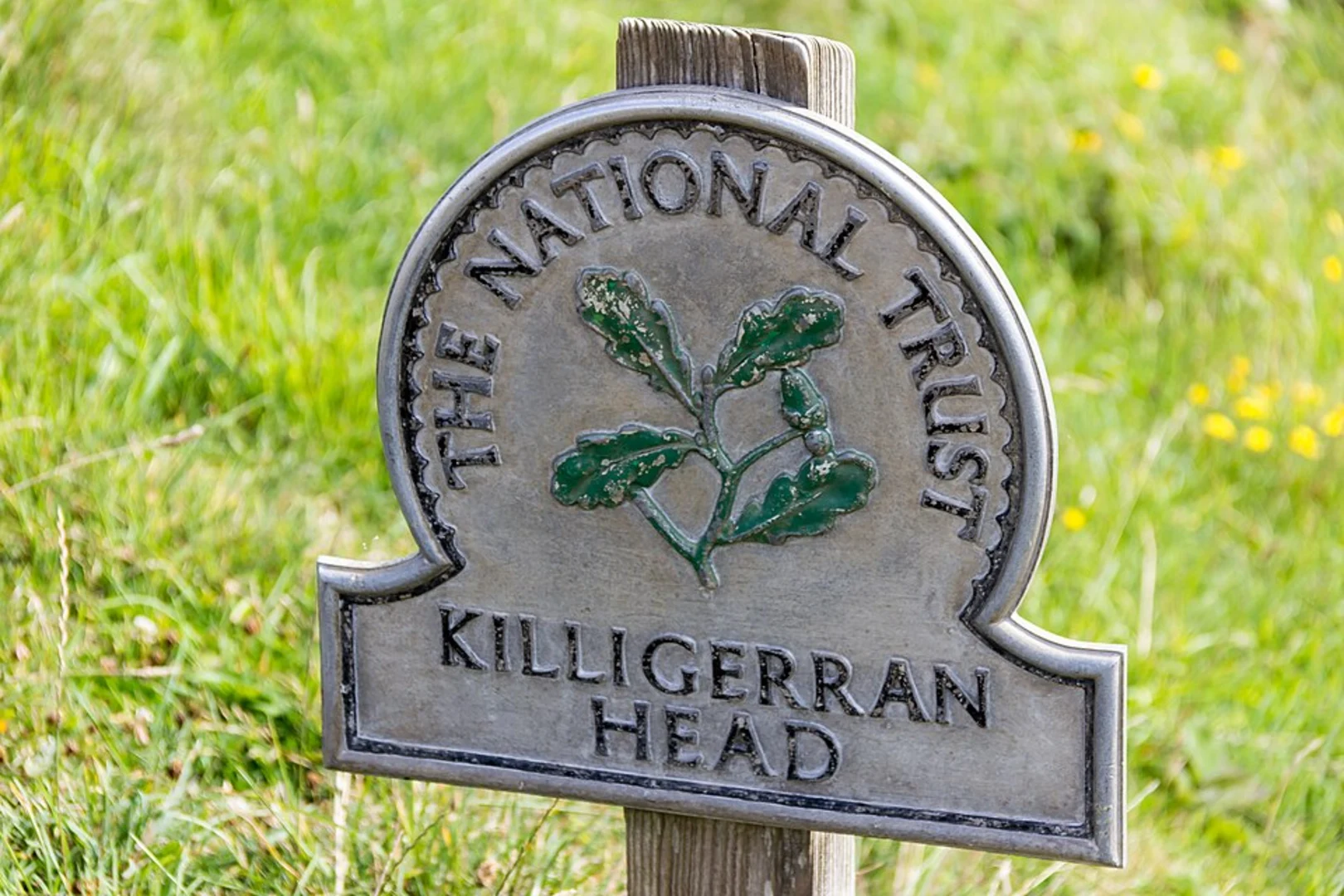 An image depicting the trail Greeb Point, St Anthony and Killigerran Head via SWCP and its surrounding area.