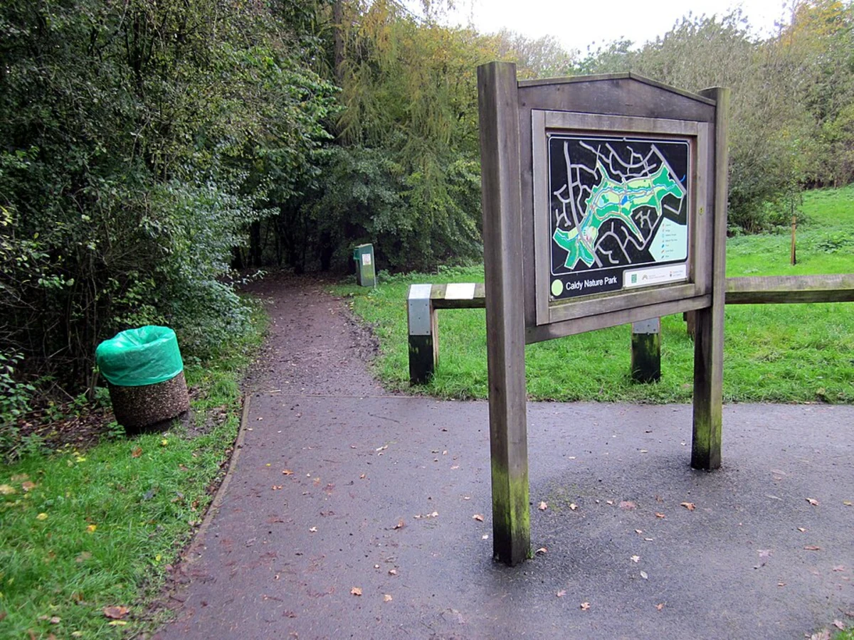 Caldy Nature Park Loop