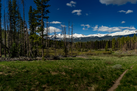 An image depicting the trail Campion Trail and its surrounding area.