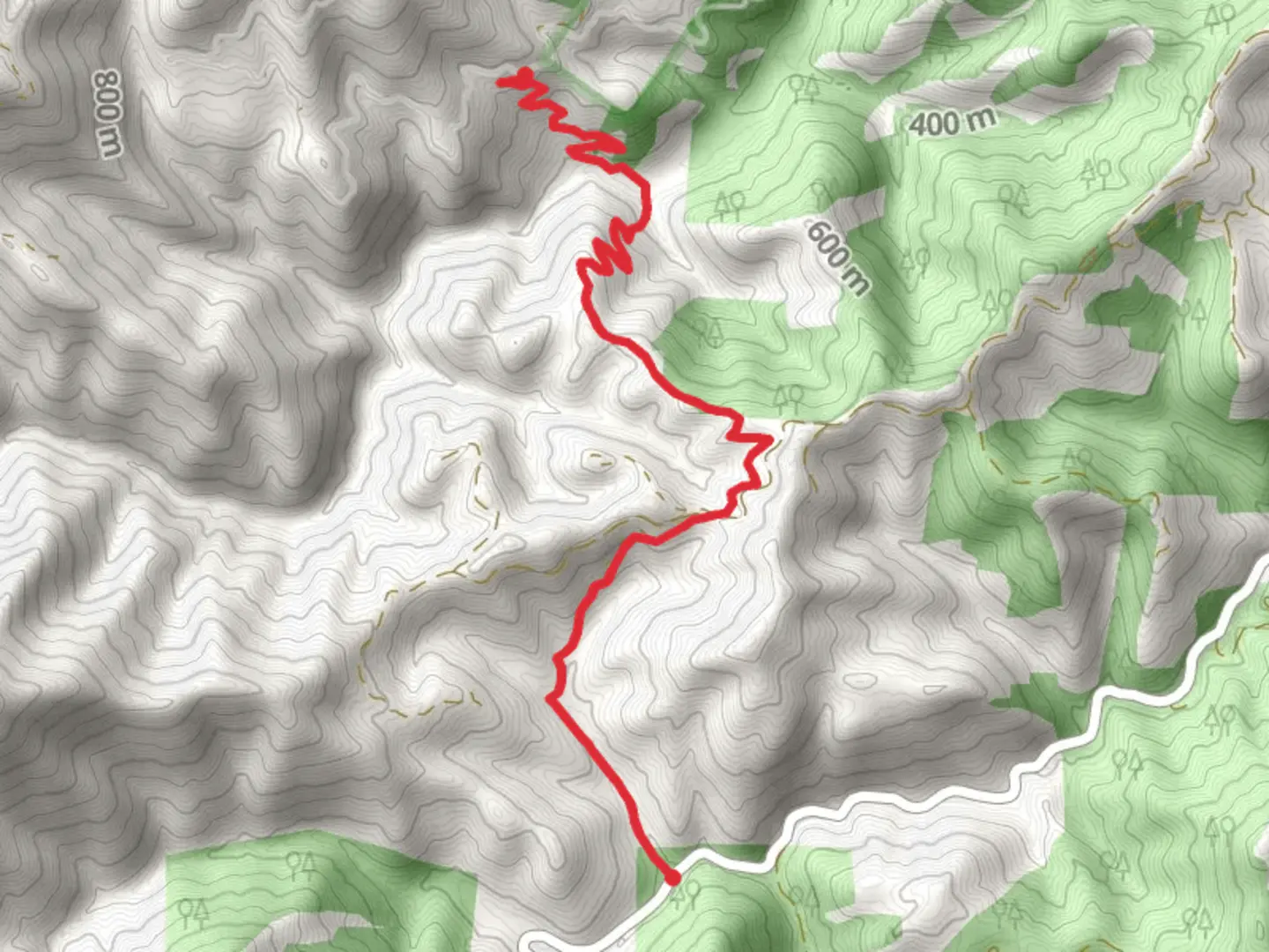 An image depicting the trail China Creek Trail and its surrounding area.