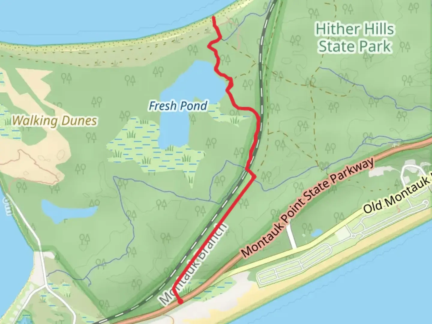 An image depicting the trail Fresh Pond from Montauk Point State Parkway and its surrounding area.