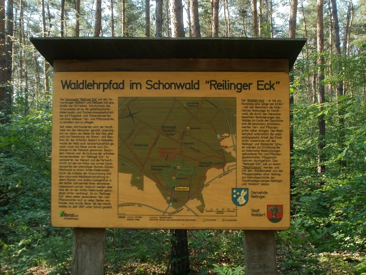 Waldlehrpfad Loop