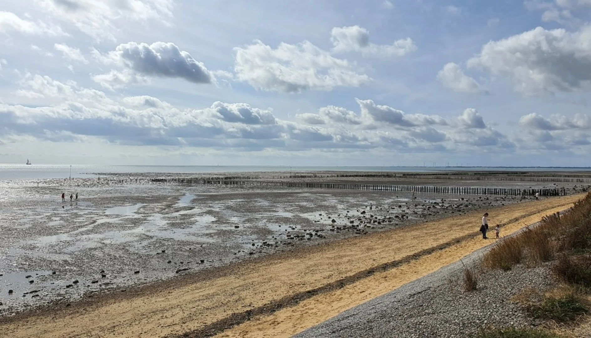 An image depicting the trail Cudmore Grove Country Park and its surrounding area.