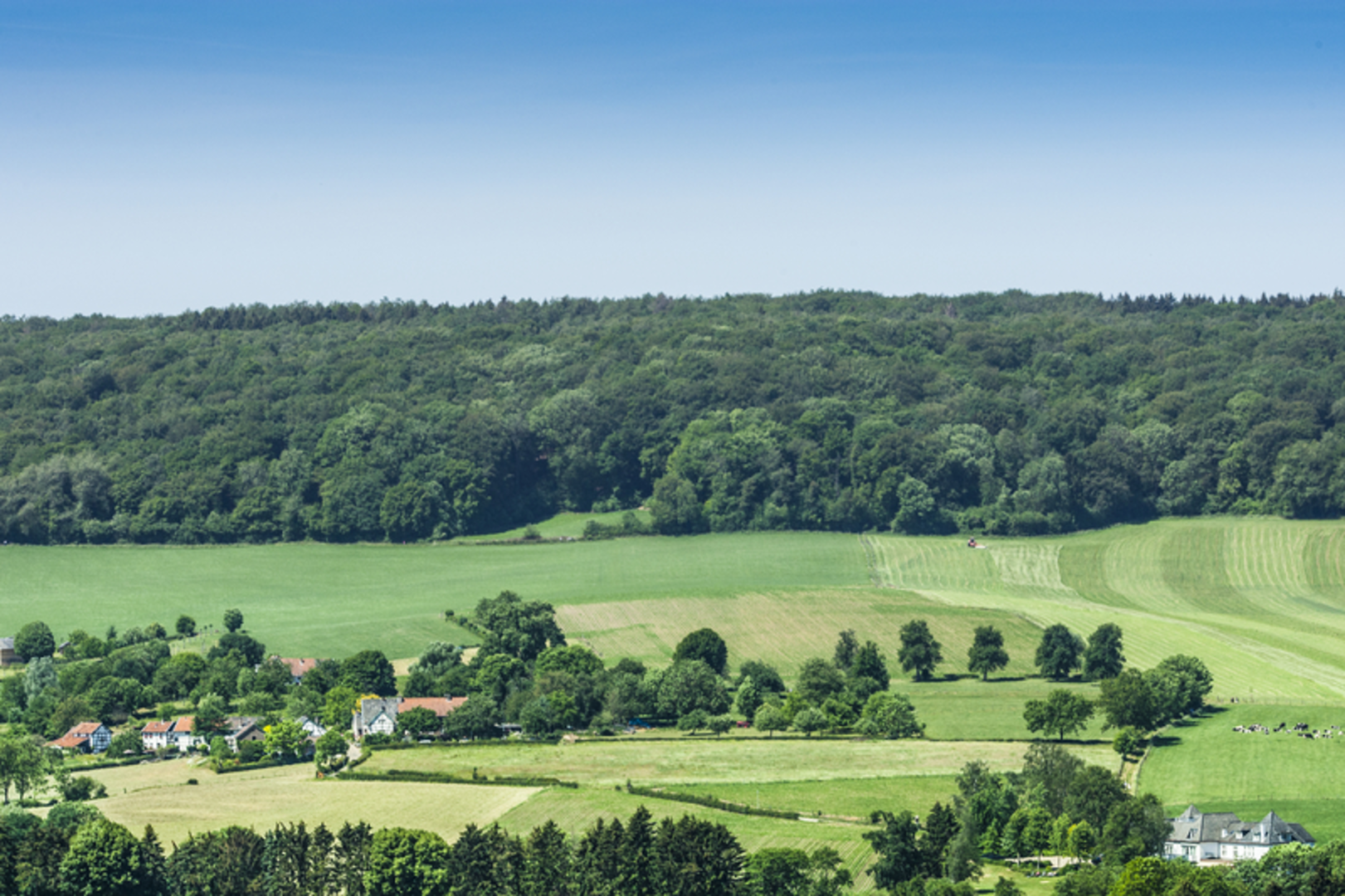 An image depicting the trail Vernelsbergh and Termoere Loop and its surrounding area.