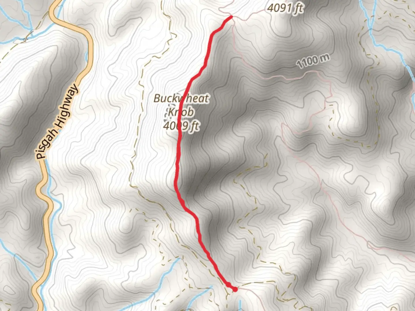An image depicting the trail Buckwheat Knob Trail and its surrounding area.