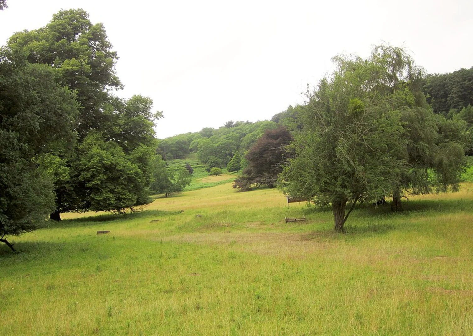 An image depicting the trail Ashton Court Estate Circular Walk and its surrounding area.