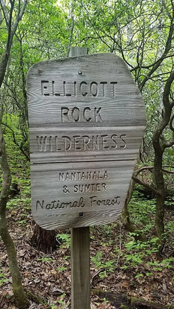 An image depicting the trail Ellicotts Rock Trail and its surrounding area.