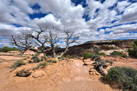 An image depicting the trail Neck Spring Trail and its surrounding area.