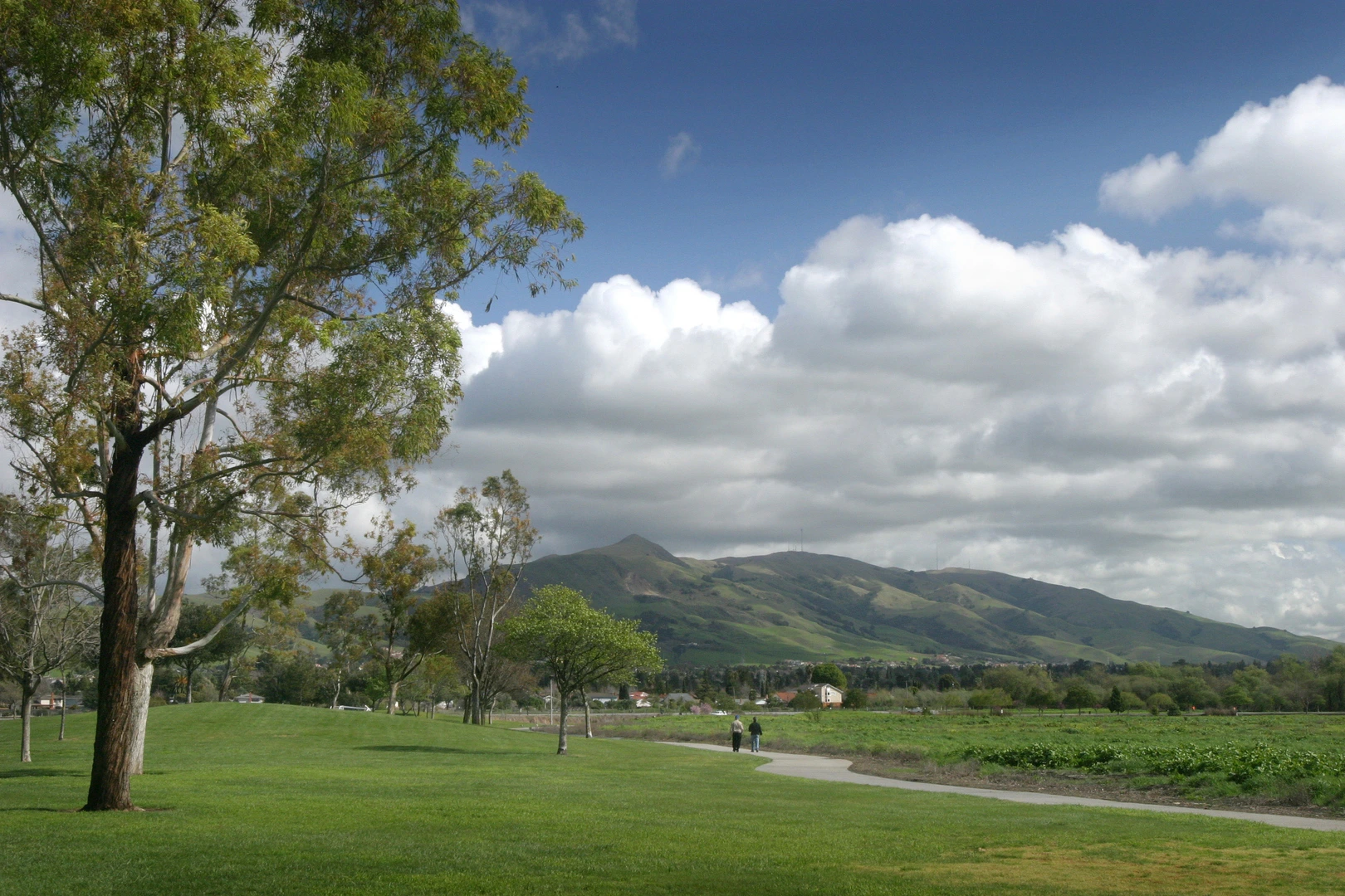 An image depicting the trail Mission Peak and Monument Peak Trail and its surrounding area.