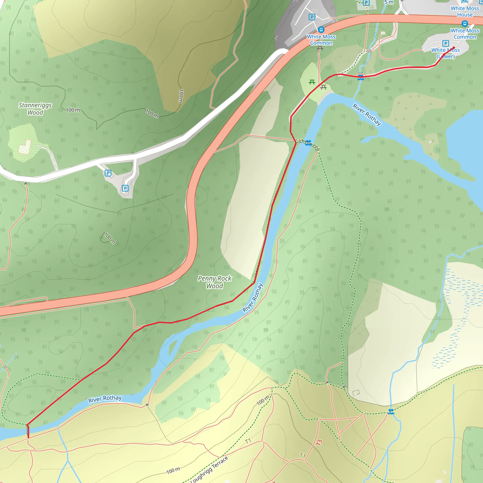 White Moss Common mobile static map