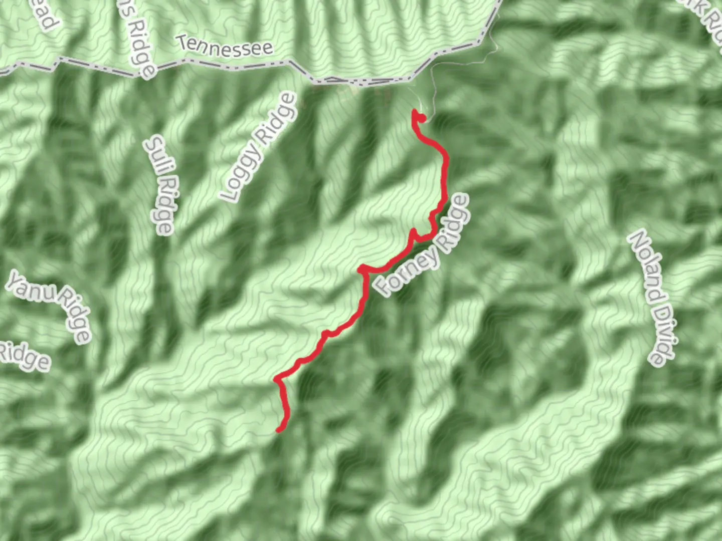 An image depicting the trail Board Camp Gap via Forney Ridge Trail and its surrounding area.
