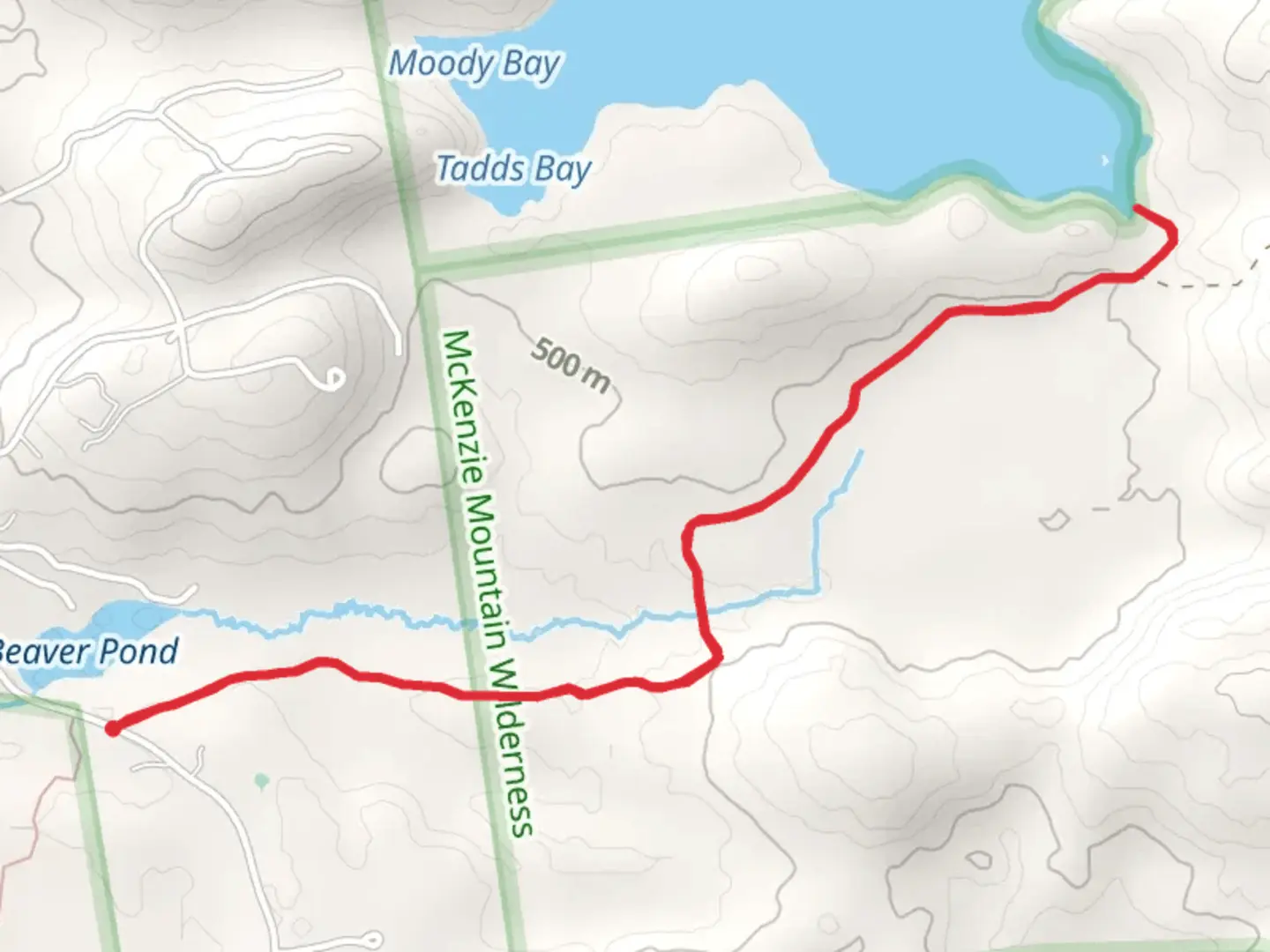 An image depicting the trail McKenzie Pond Trail and its surrounding area.